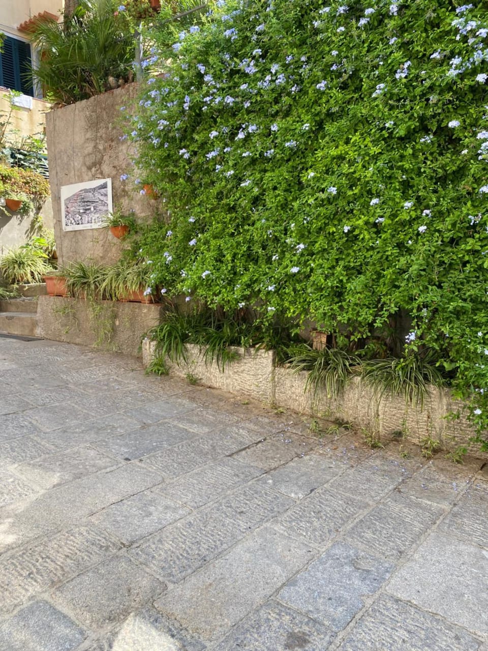 Quiet street view