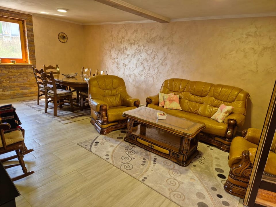 Luxury Villa Dimitrijević SPA House in Zlatibor District, Serbia