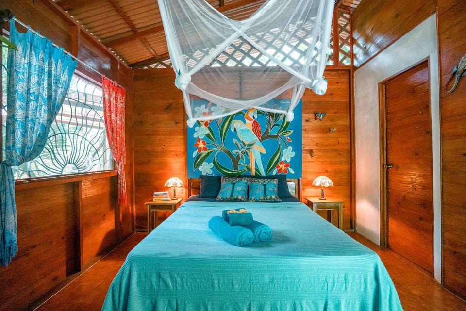 Bed, Photo of the whole room