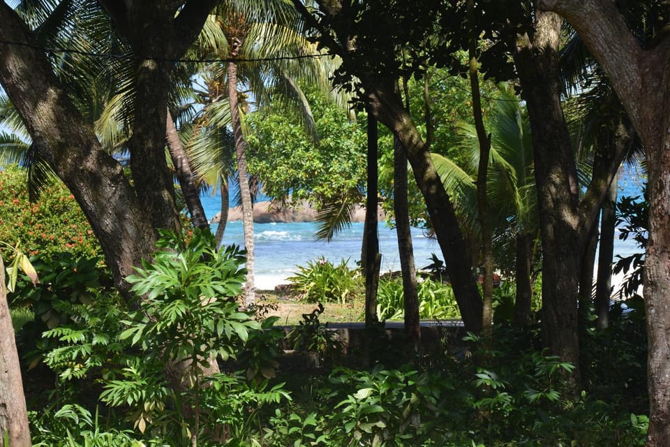 Off site, Area and facilities