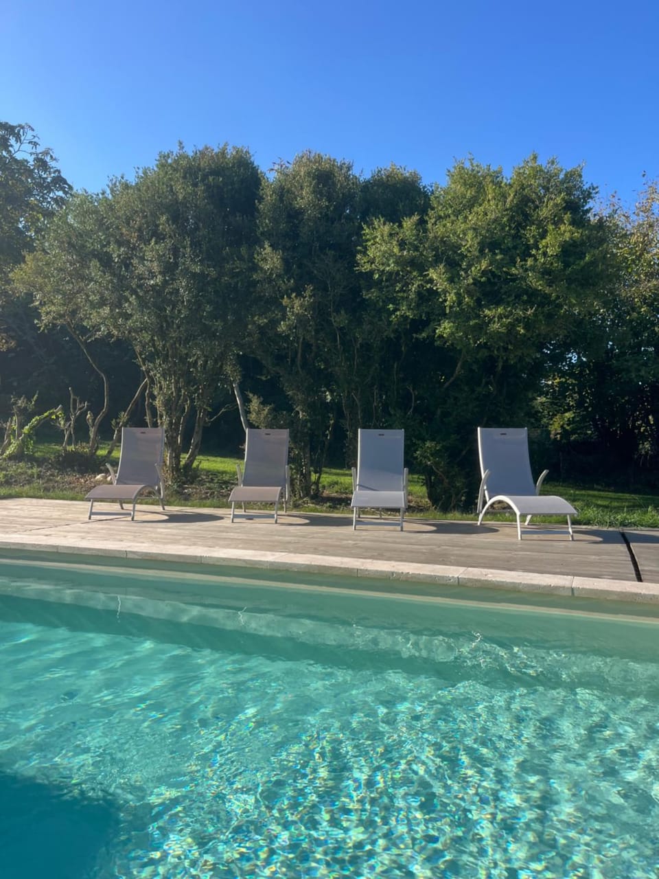 Day, Garden, Garden view, Pool view, Swimming pool, sunbed