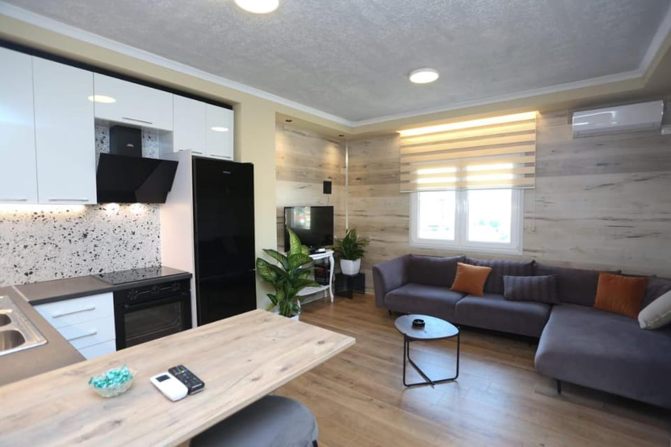 David Center Apartment Apartment in Tirana