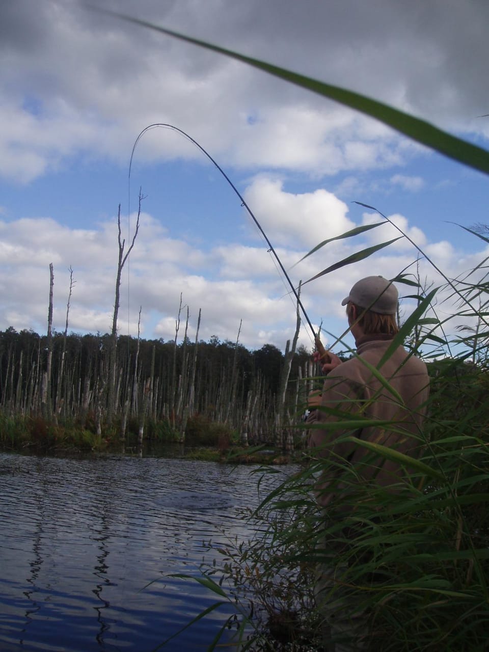 Natural landscape, Fishing