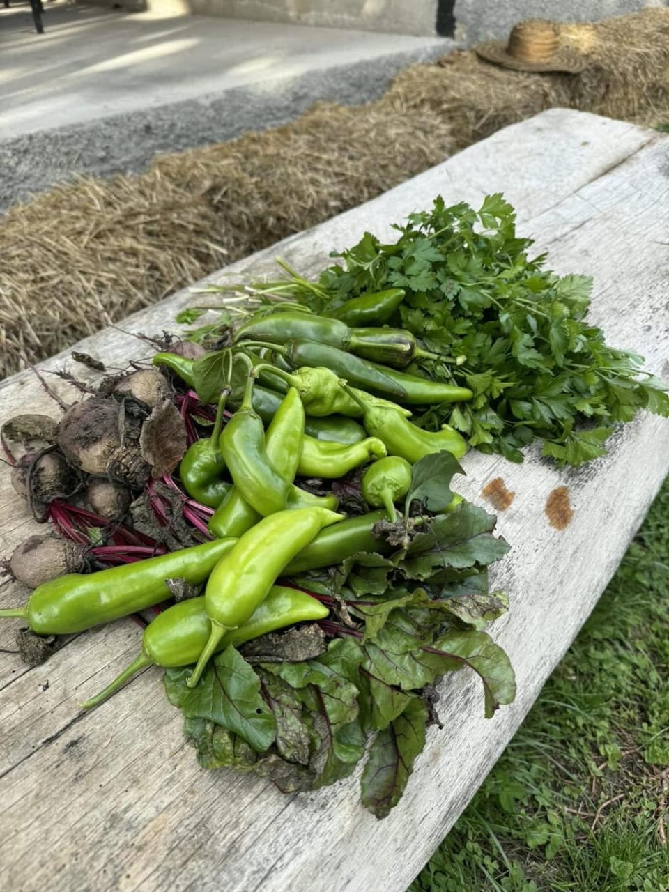Garden, Food