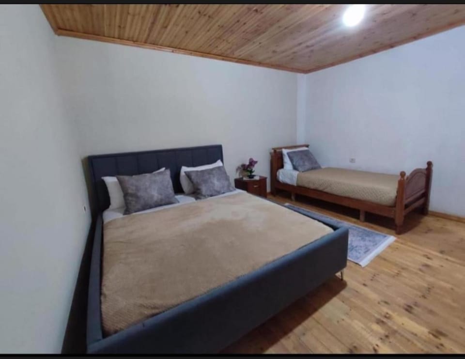 GUEST HOUSE FELAU,Leusë Bed and Breakfast in North Macedonia