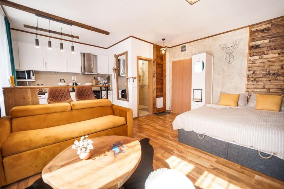 Bed, Kitchen or kitchenette, Living room, Seating area, Dining area, Bedroom