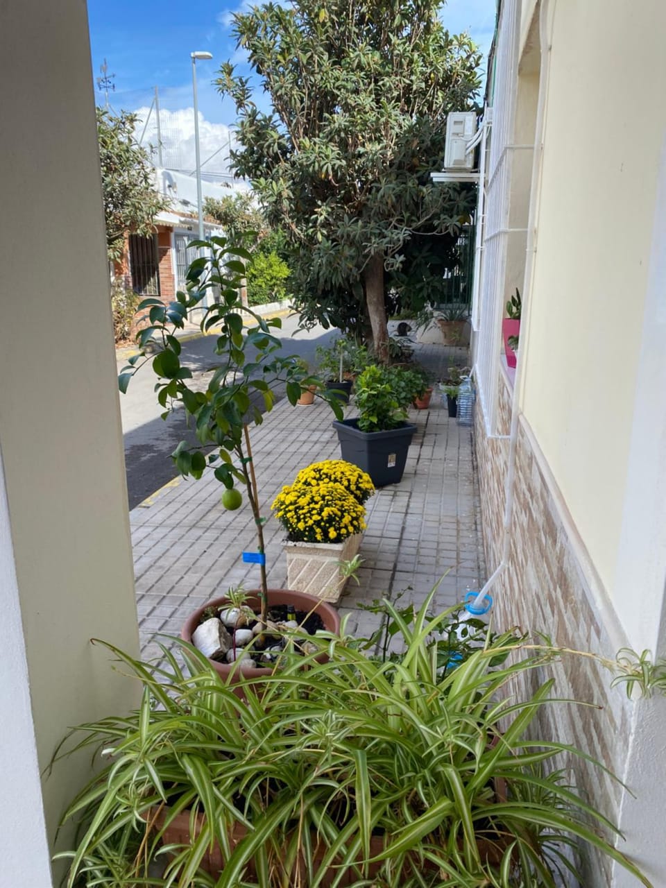 La casa amarilla de Luis y Eileen House in Villajoyosa