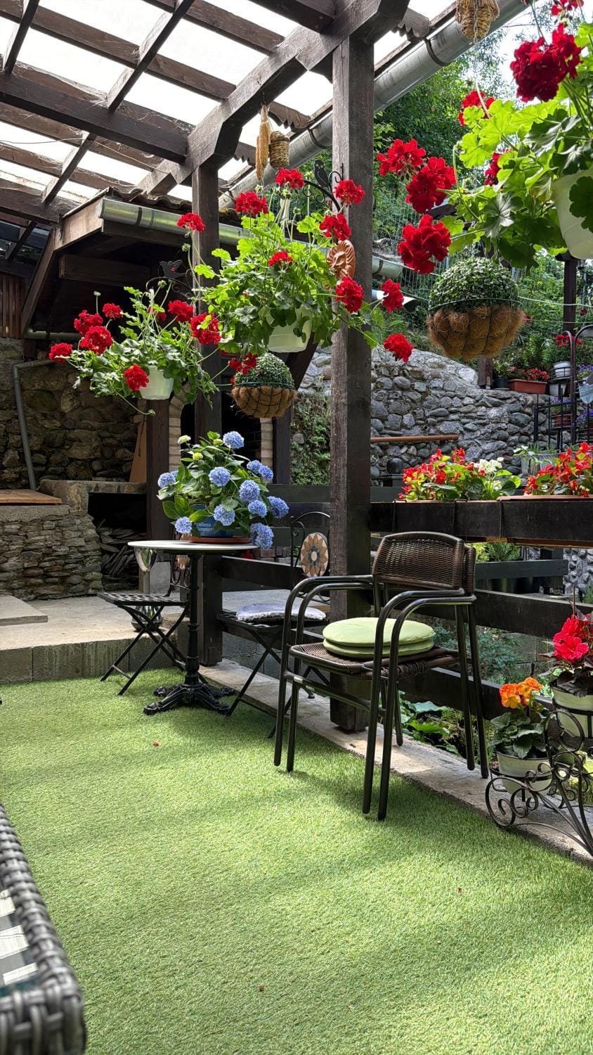 Pensiunea Eugenia Bed and Breakfast in Bran