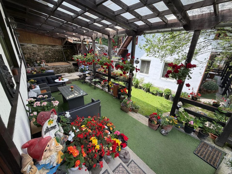 Pensiunea Eugenia Bed and Breakfast in Bran