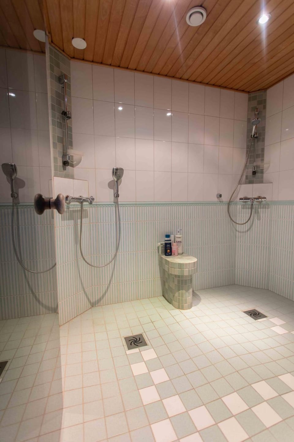 Shower, Sauna, Bathroom