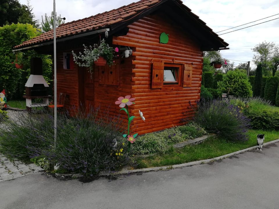 Property building, Garden, Garden view