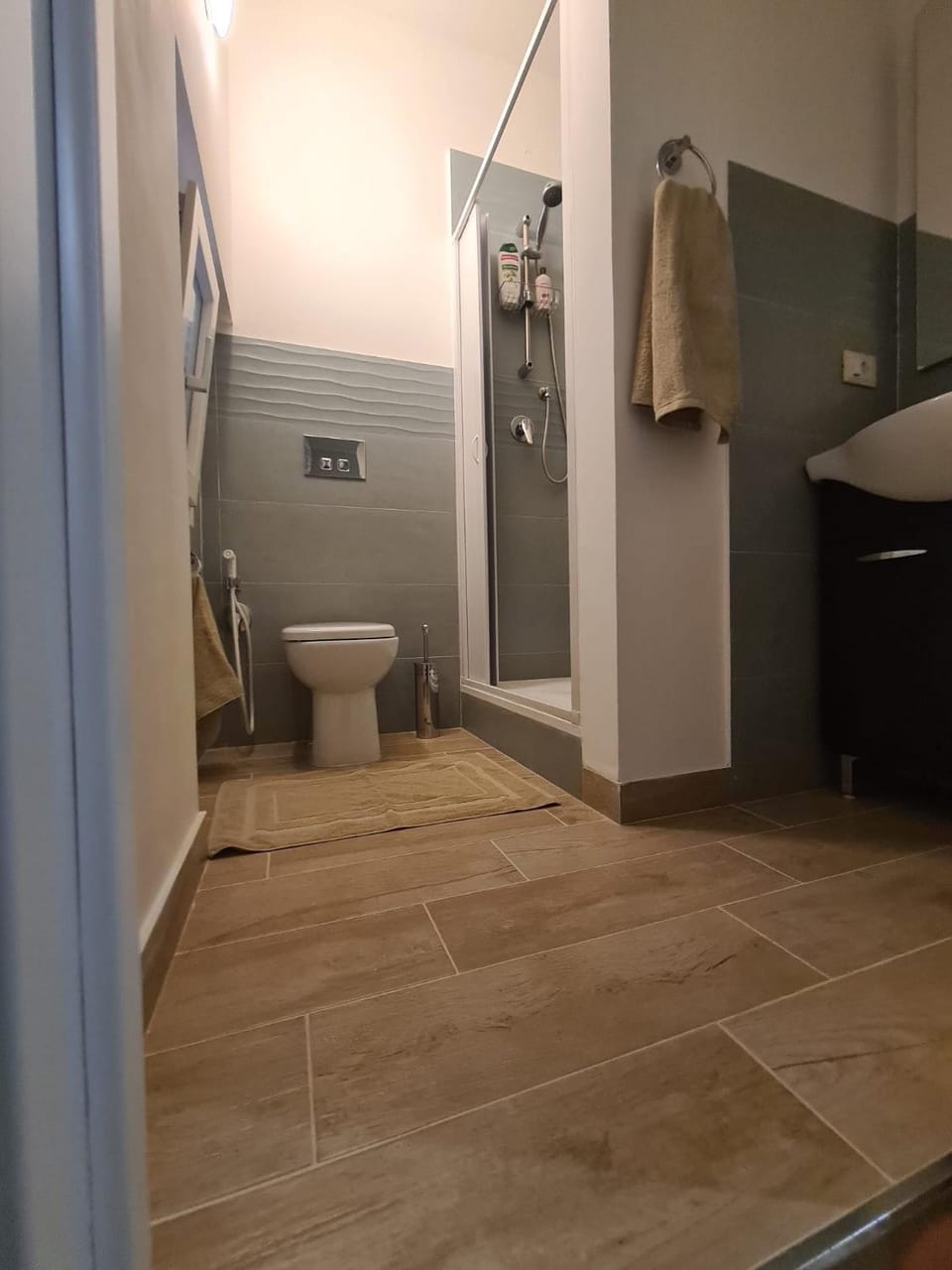 Shower, Toilet, Bathroom