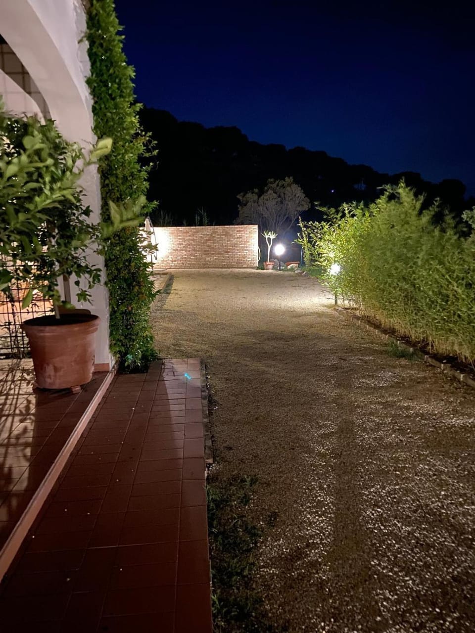 Night, Garden
