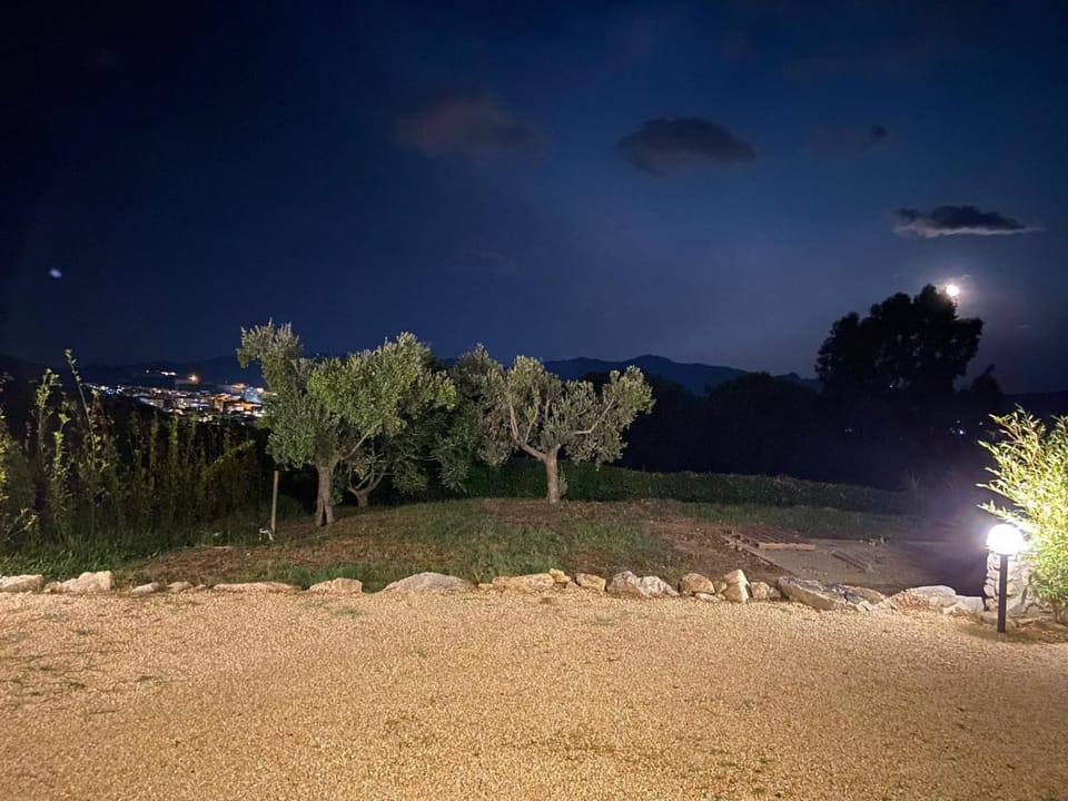 Night, Garden view