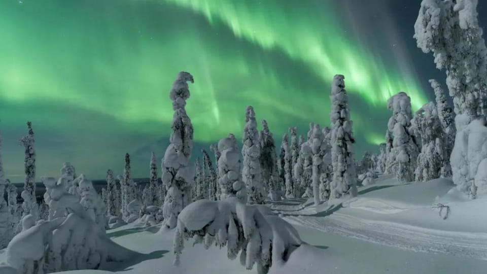 Natural landscape
