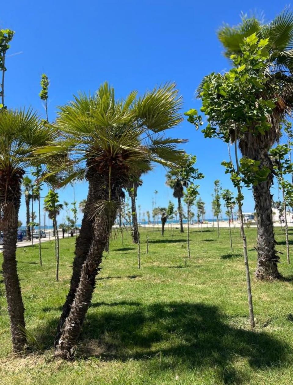 Apartments Qerret Golem beachfront Apartment in Tirana County, Albania