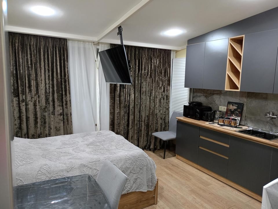 Bed, TV and multimedia, Kitchen or kitchenette, Photo of the whole room, Bedroom, minibar