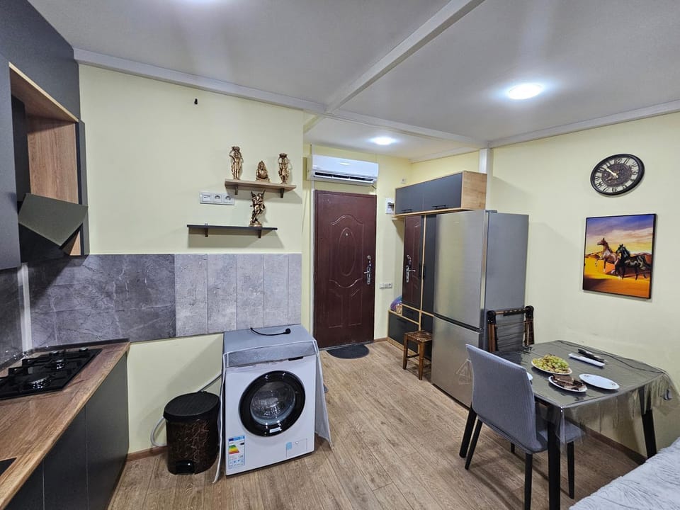 Kitchen or kitchenette, Dining area, minibar, oven, pet friendly, stove, washing machine, dryer, air conditioner