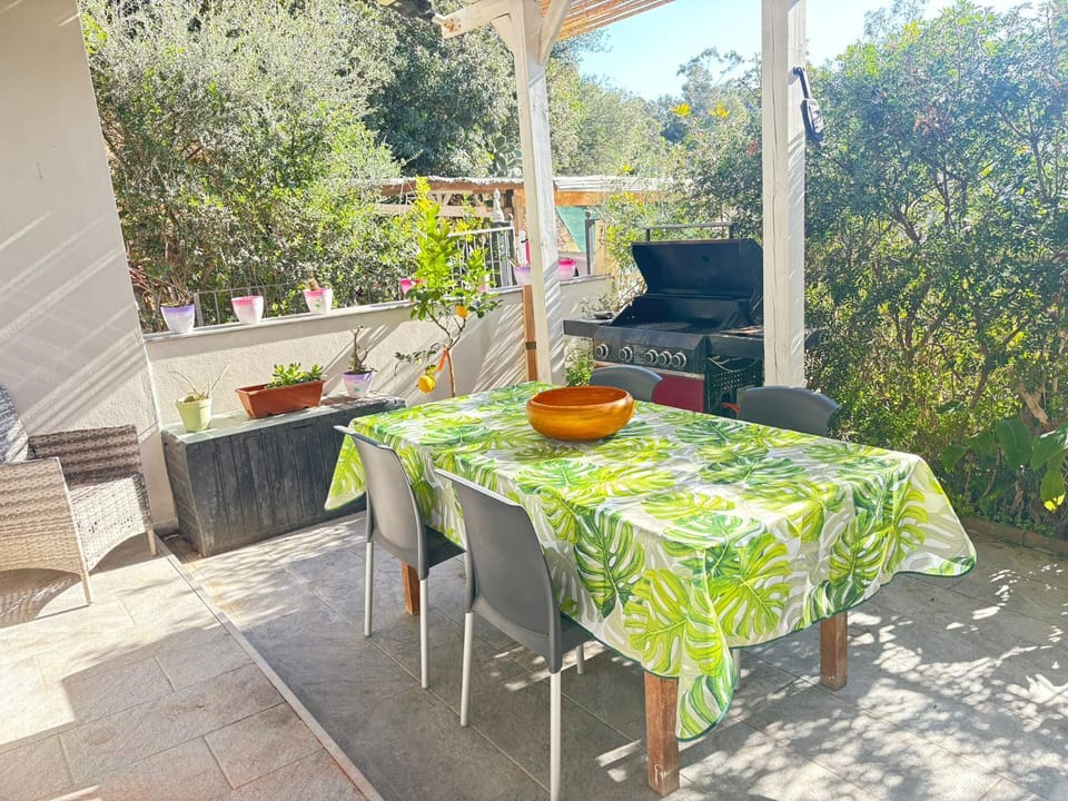 Property building, Garden, Garden view, Garden view