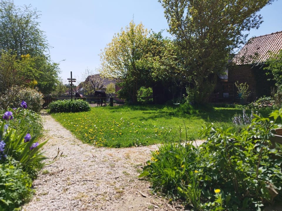 Garden view