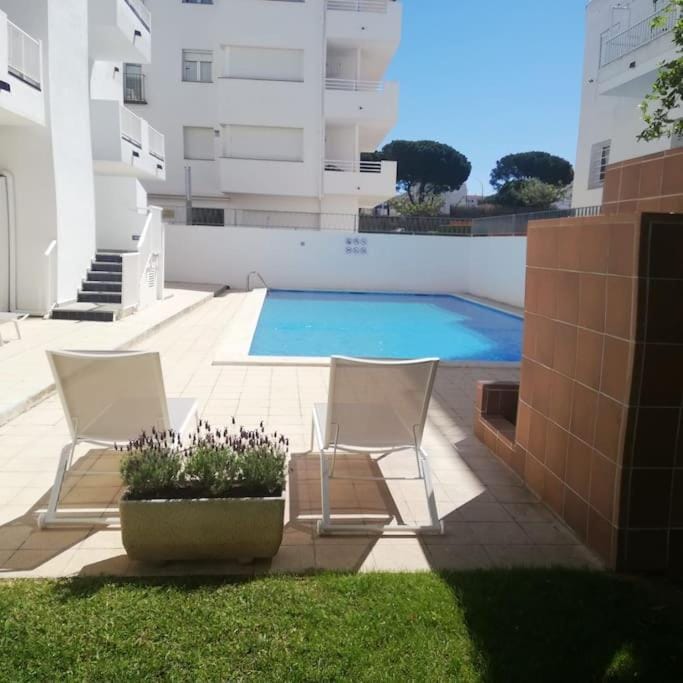 Garden, Pool view, Swimming pool, sunbed