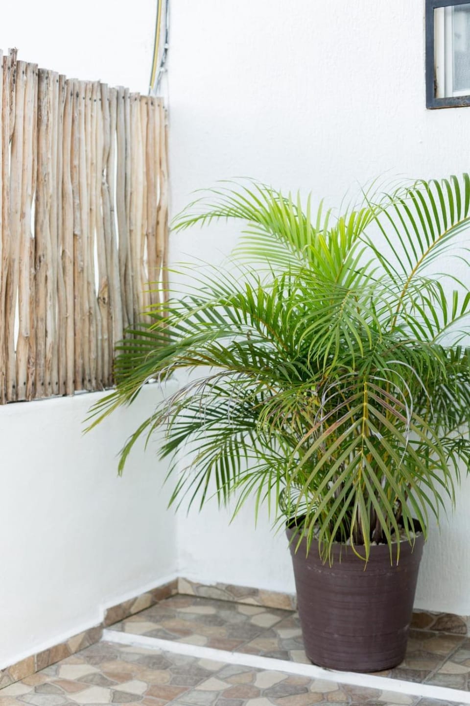 M&Z loft La Terraza House in Cancun