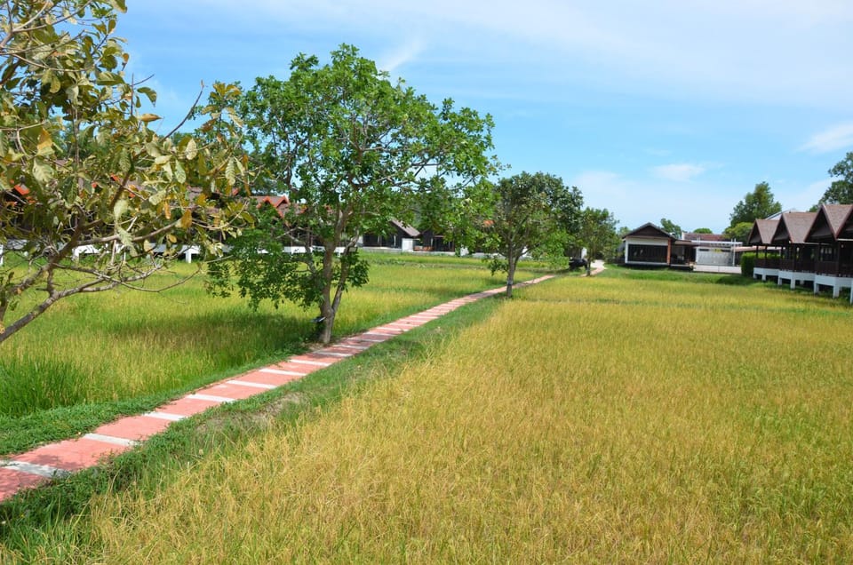 Property building, Garden