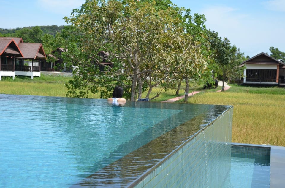 Pool view, Swimming pool