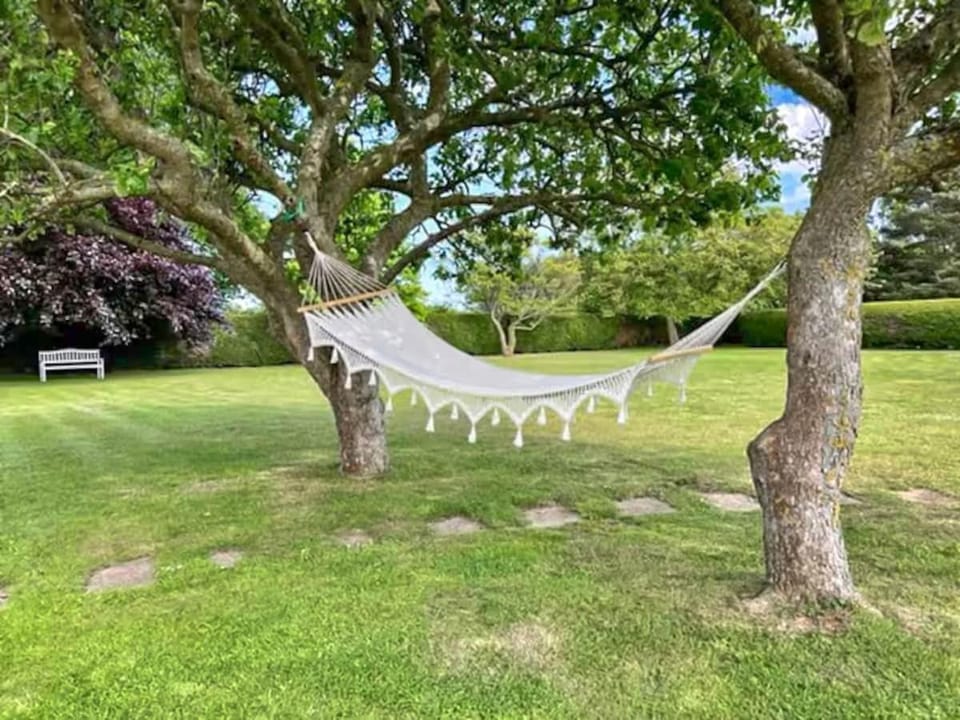 Day, Natural landscape, Garden, Garden view