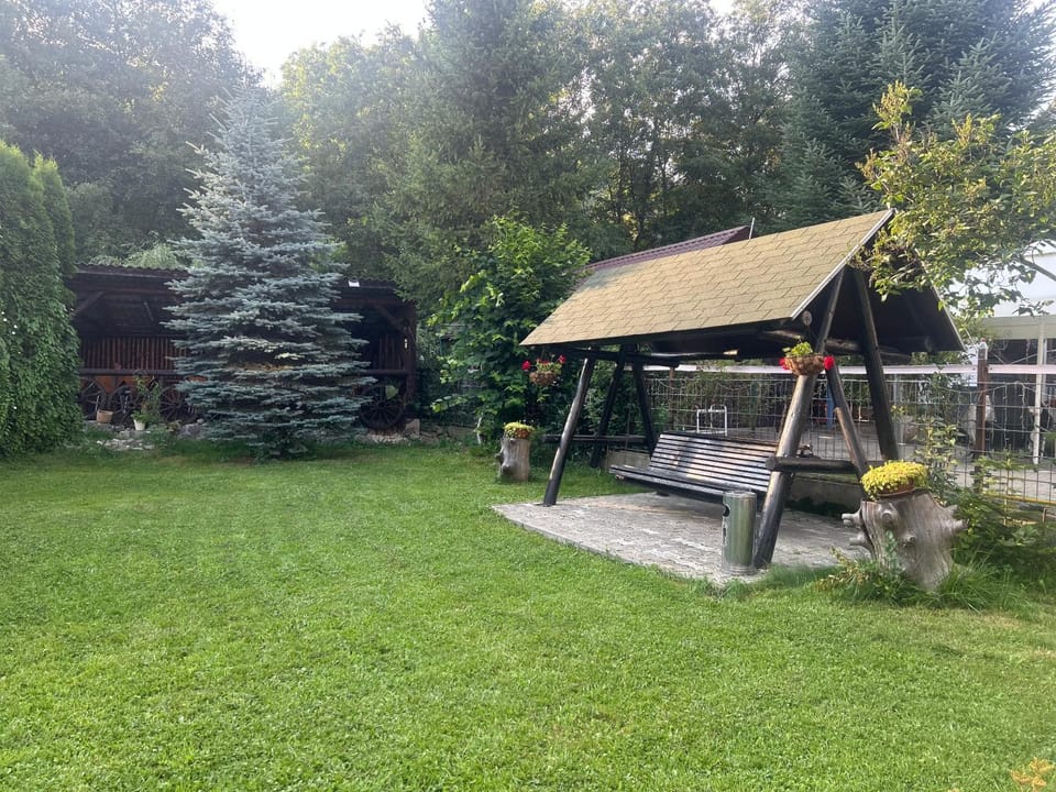 Pensiunea Adelina Bed and Breakfast in Brașov County