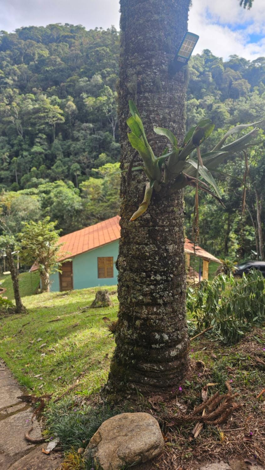 Pousada do Artista Chalet in State of Rio de Janeiro