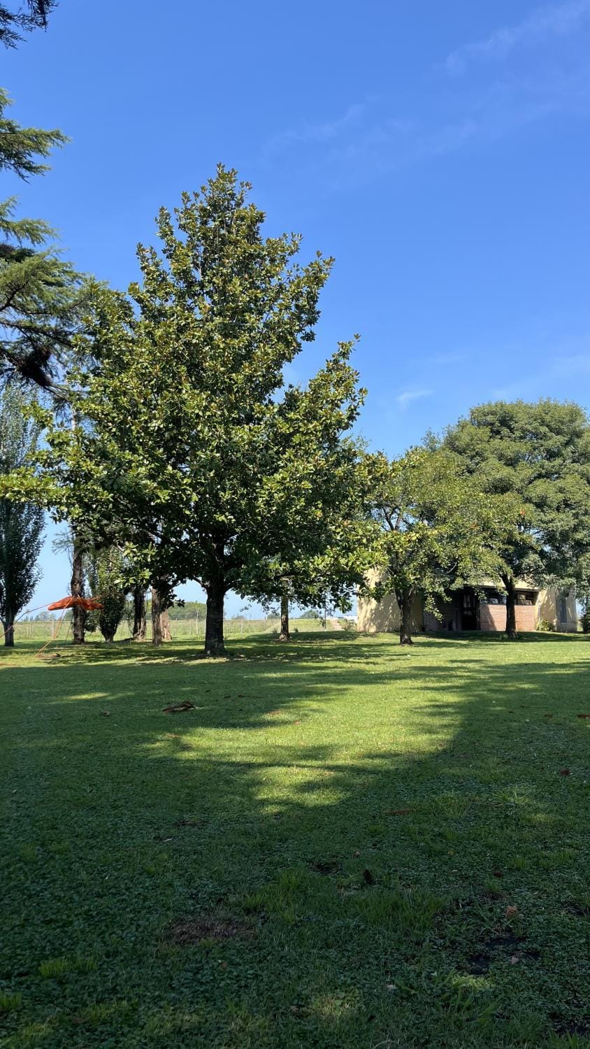 Day, Natural landscape, Garden view