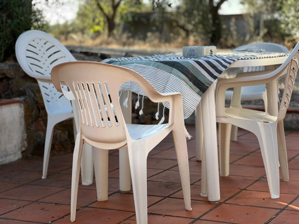 Patio, Day