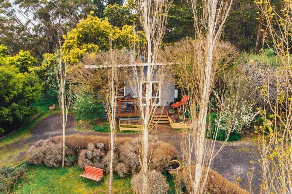 Natural landscape, Garden, Garden view