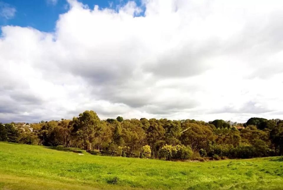 Natural landscape