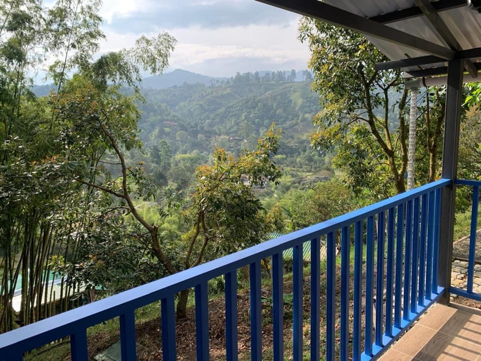 Balcony/Terrace, Garden view