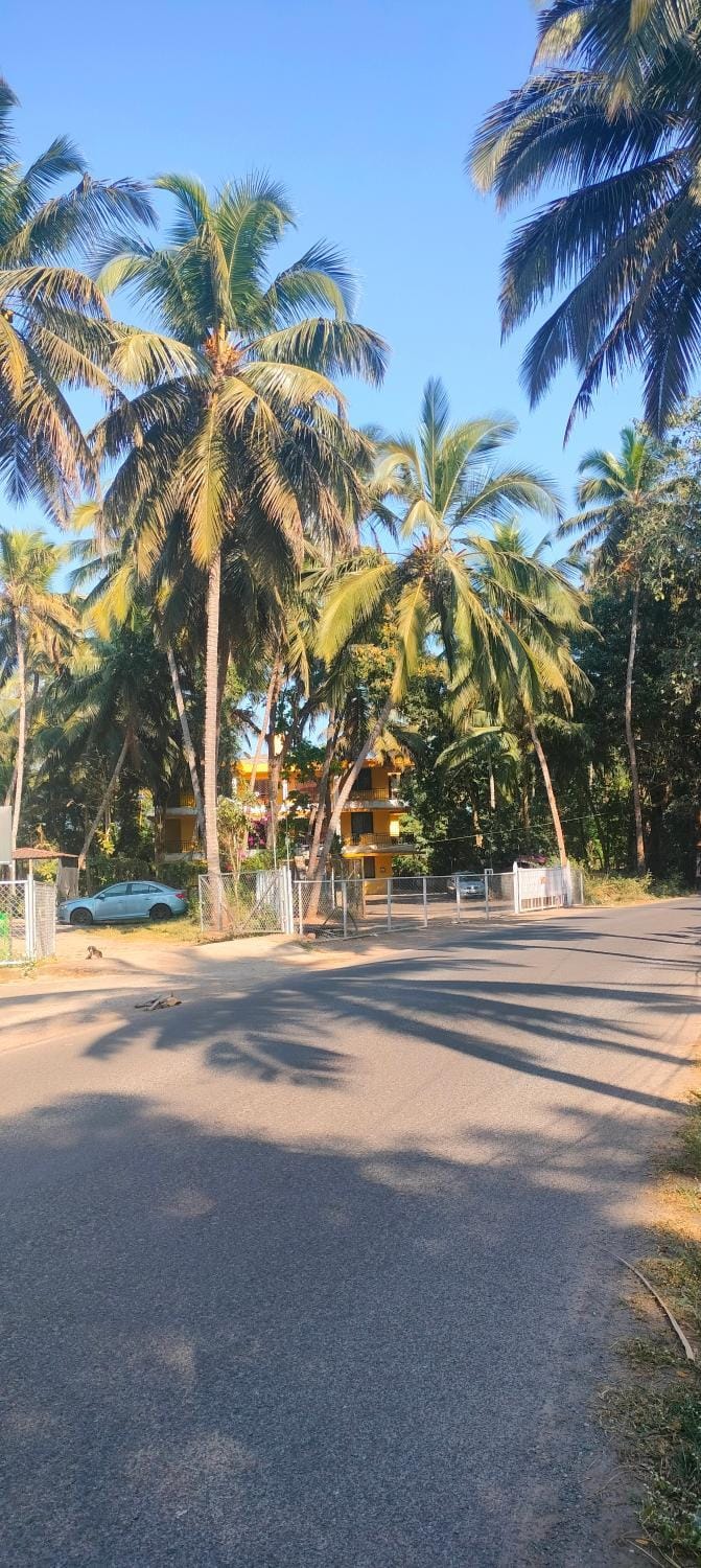 Neighbourhood