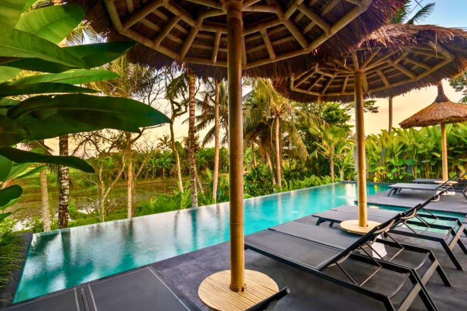 Swimming pool, sunbed