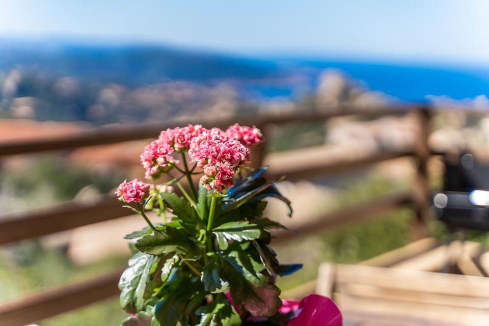 Villetta Panoramica Costa Paradiso House in Sardinia