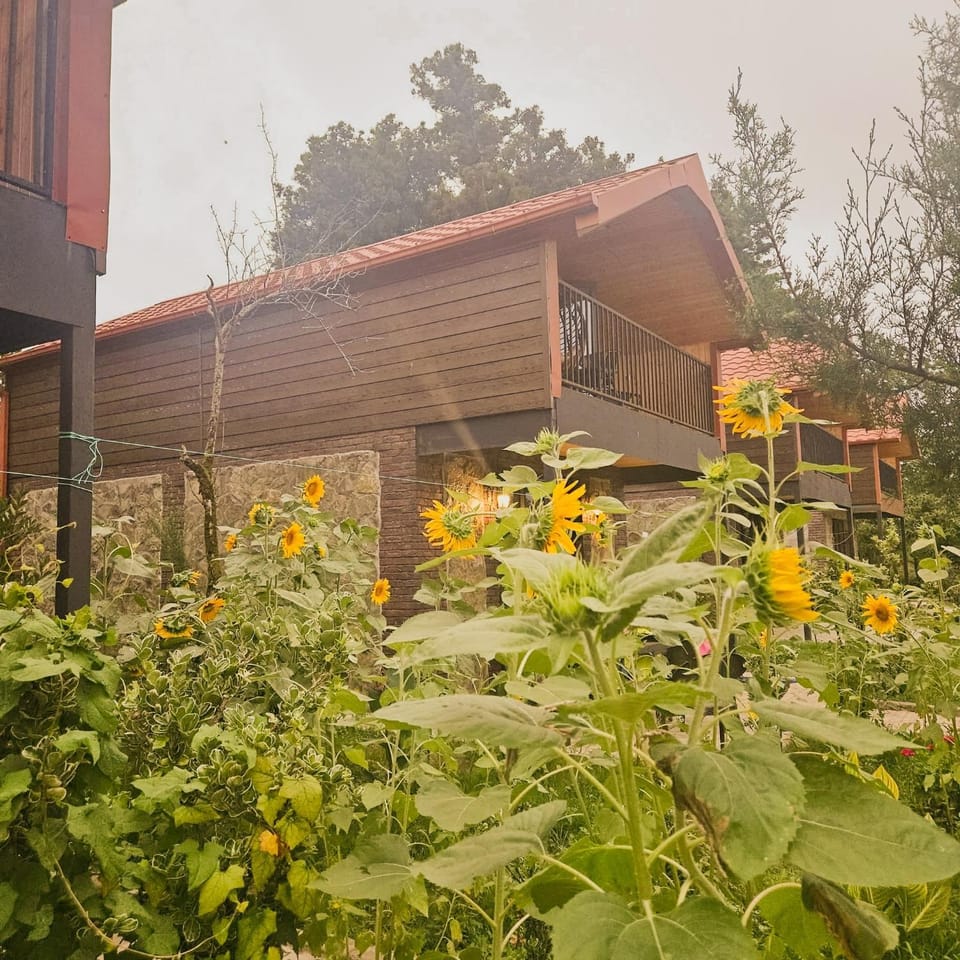 Iveria Parky and cottages House in Adjara, Georgia