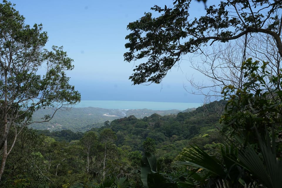 Sea view