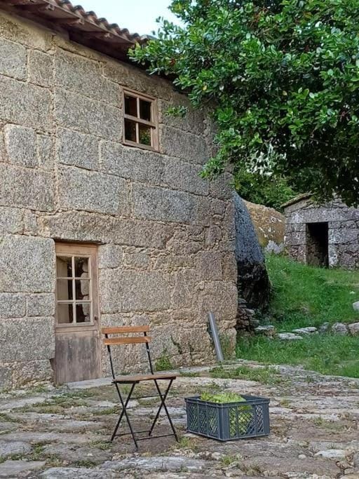 Patio, Spring