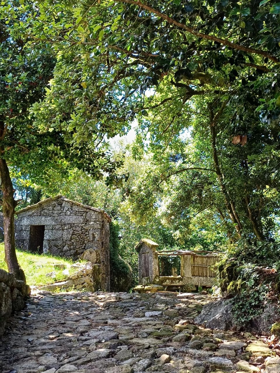 Natural landscape, Garden