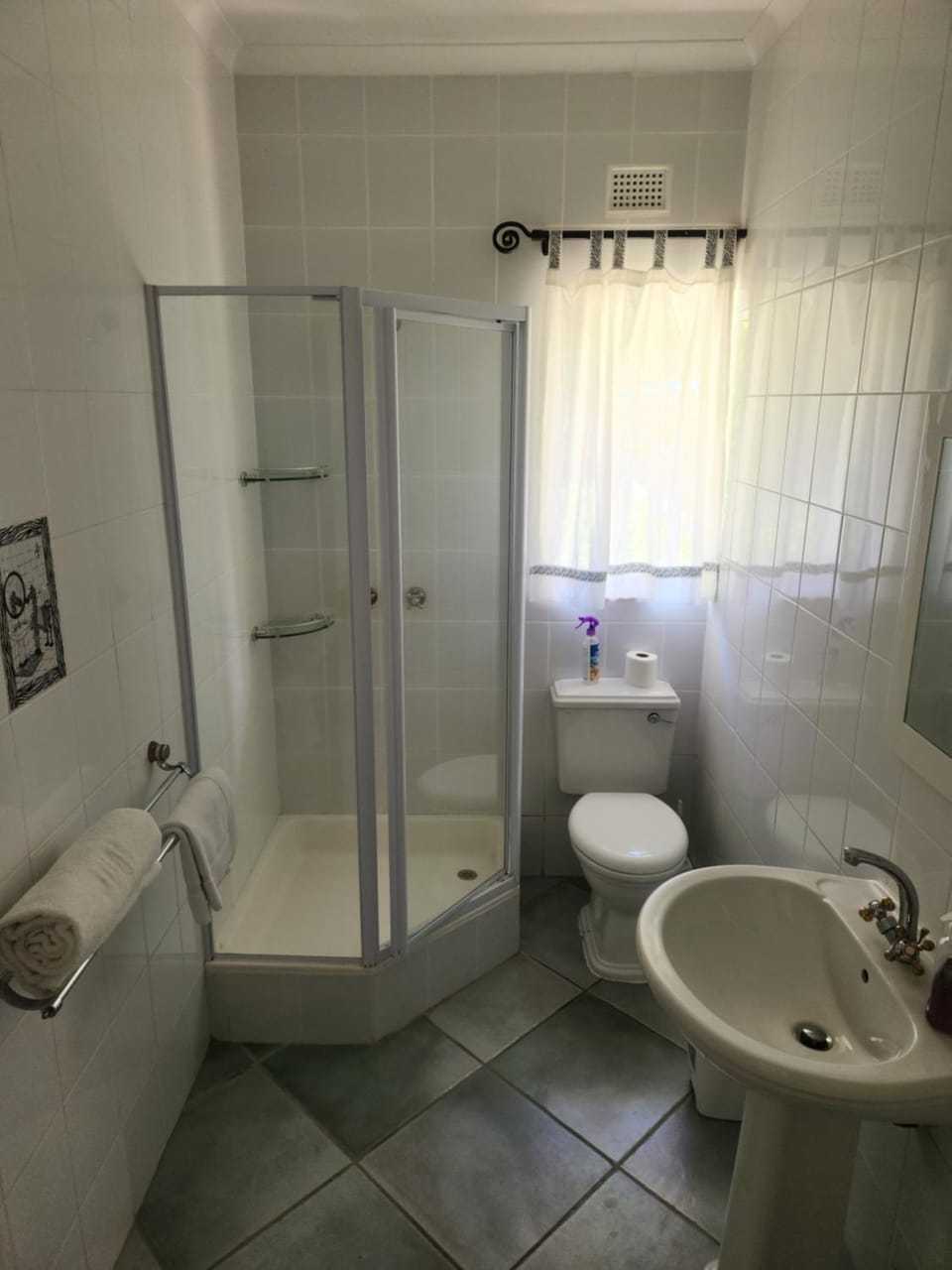 Shower, Toilet, towels