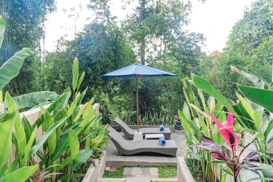 Garden, sunbed