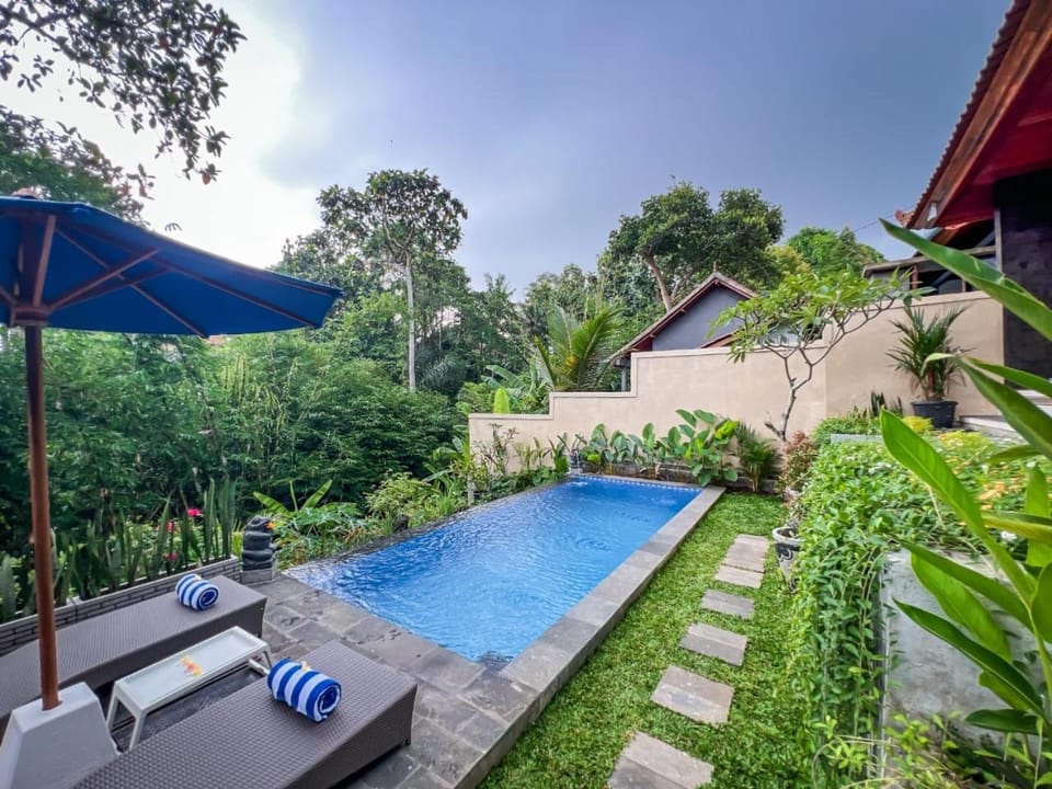 Garden, Swimming pool