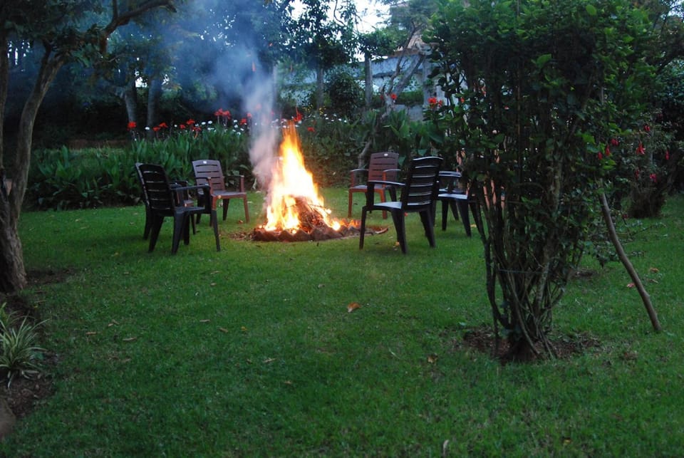 Evening entertainment