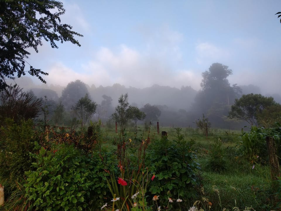 Natural landscape, Mountain view