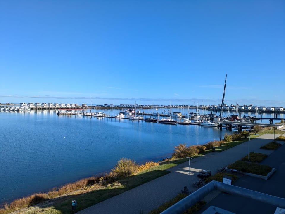 Summer, View (from property/room)