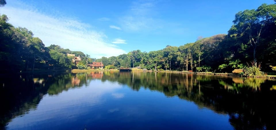 Lake view